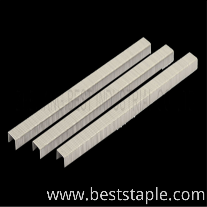 Hardware Long Niles Fine Wire Staples
